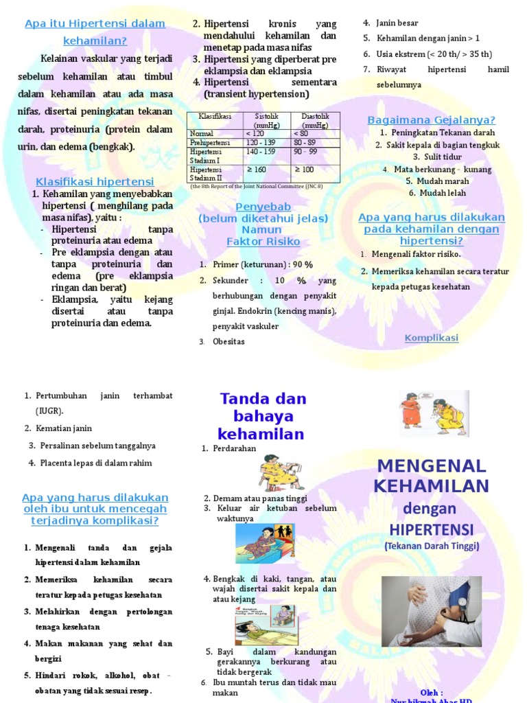 Detail Gambar Hipertensi Dalam Kehamilan Nomer 33