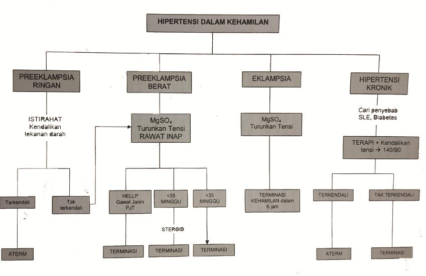 Detail Gambar Hipertensi Dalam Kehamilan Nomer 38