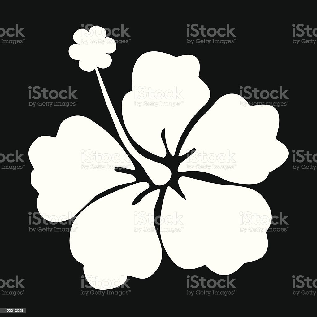 Detail Gambar Hitam Putih Bunga Sepatu Nomer 28