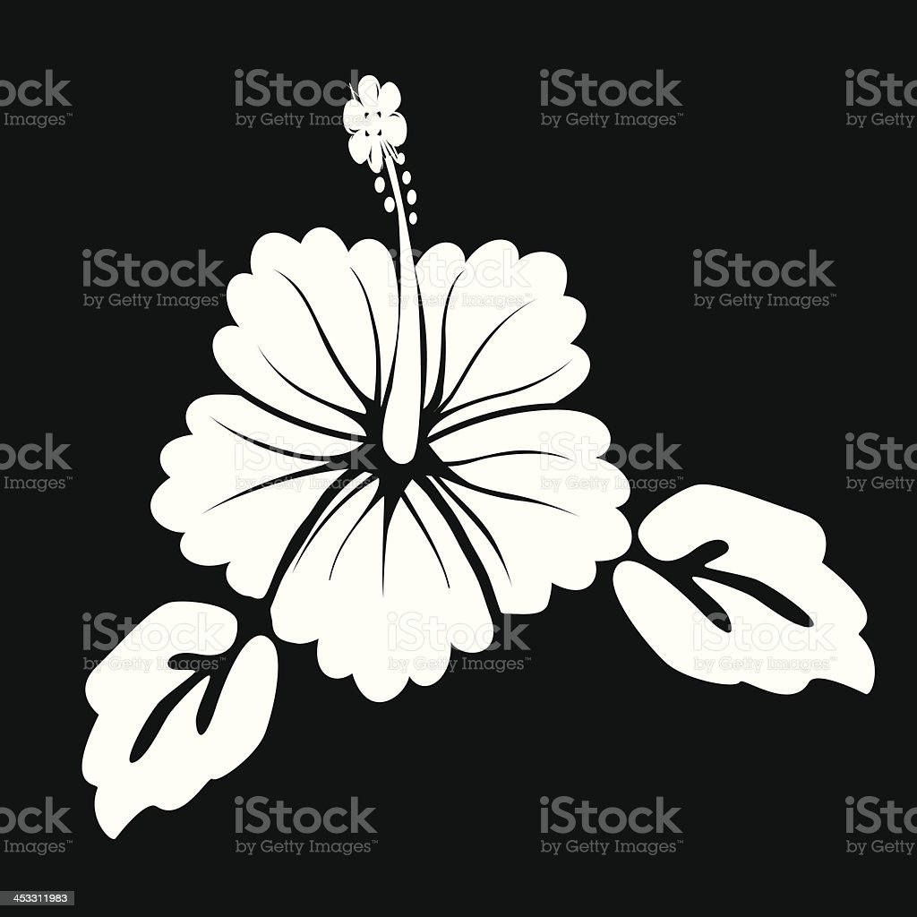Detail Gambar Hitam Putih Bunga Sepatu Nomer 31