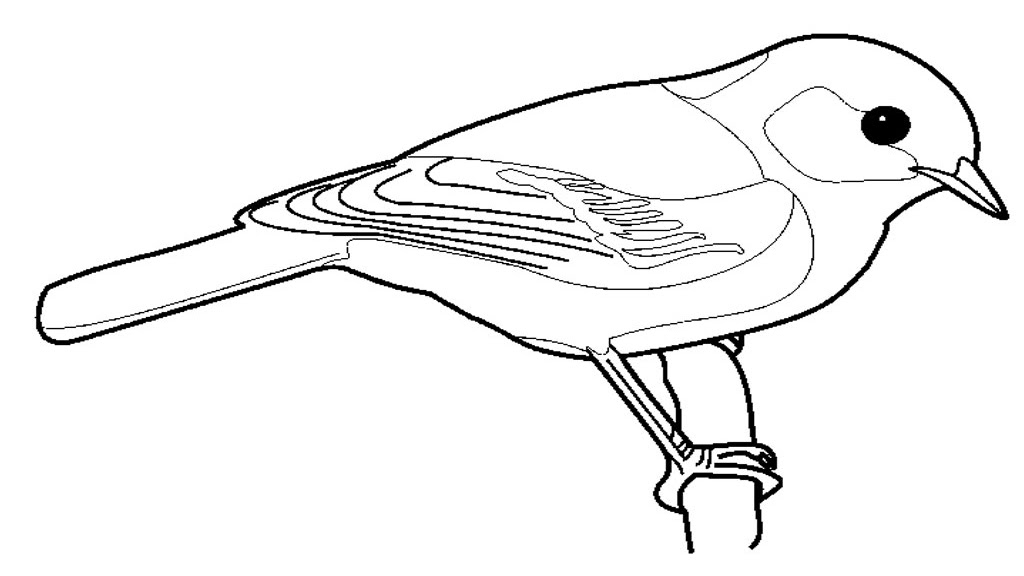 Detail Gambar Hitam Putih Burung Terbang Bebas Nomer 16