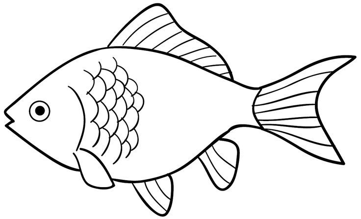Gambar Hitam Putih Ikan - KibrisPDR
