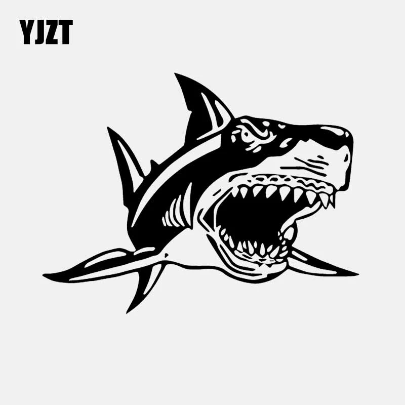 Detail Gambar Hiu Hitam Putih Koleksi Nomer 22