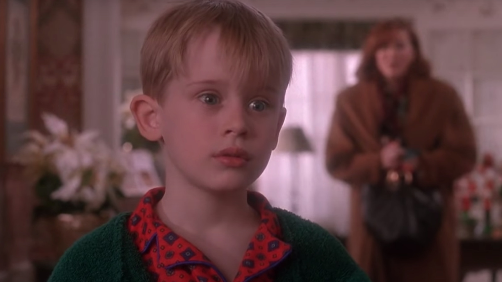 Detail Gambar Home Alone Nomer 46