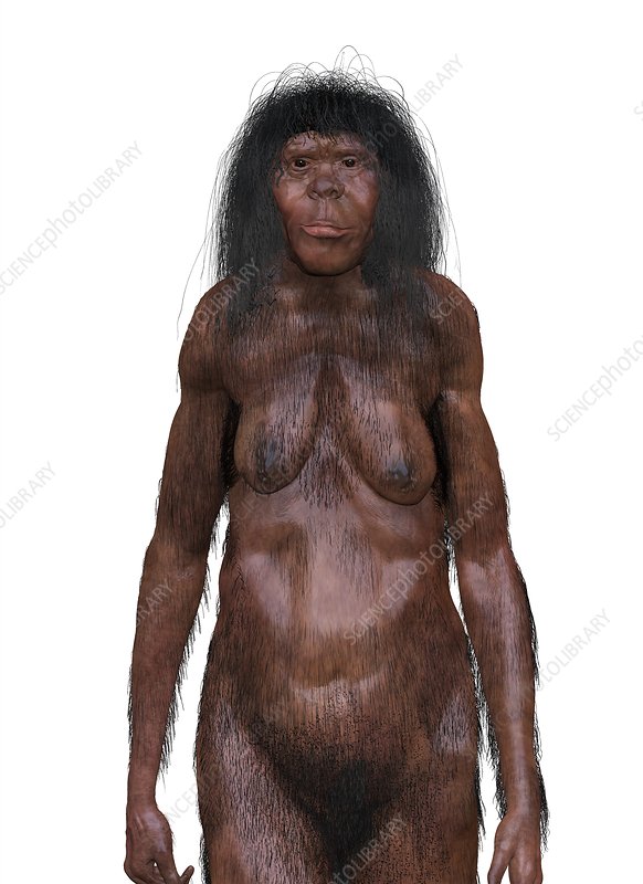 Detail Gambar Homo Erectus Nomer 49