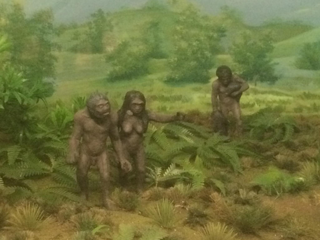 Detail Gambar Homo Floresiensis Nomer 38