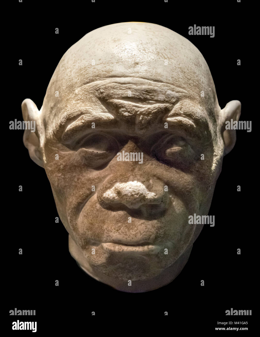 Detail Gambar Homo Floresiensis Nomer 41