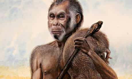 Detail Gambar Homo Floresiensis Nomer 5