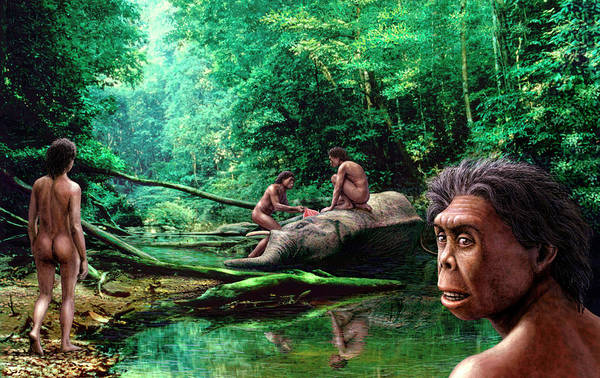 Detail Gambar Homo Floresiensis Nomer 52