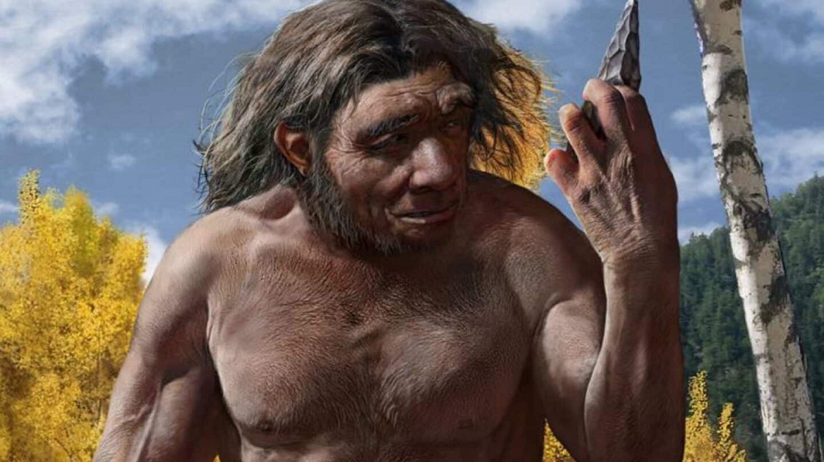 Detail Gambar Homo Sapiens Nomer 27