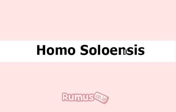 Detail Gambar Homo Soloensis Nomer 50
