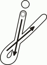 Detail J In Schreibschrift Nomer 4