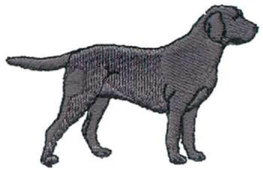 Detail Schwarze Labrador Nomer 17