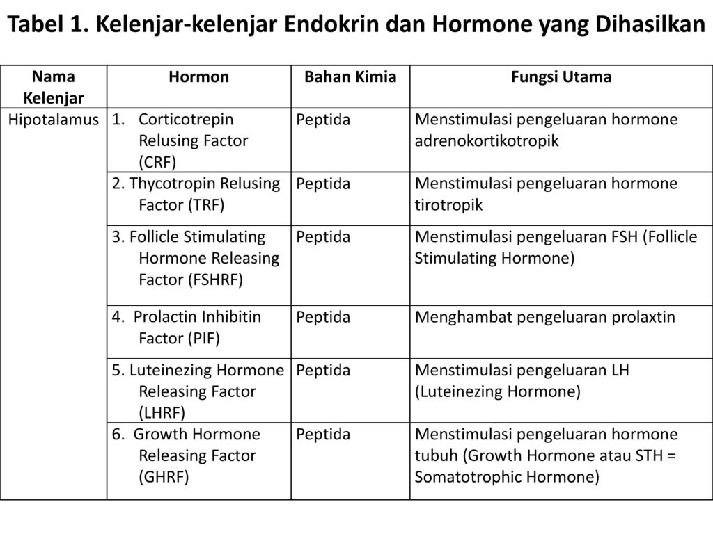 Detail Gambar Hormon 8 Hormon Utama Nomer 13