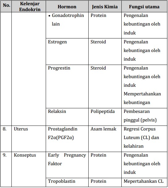 Detail Gambar Hormon 8 Hormon Utama Nomer 36