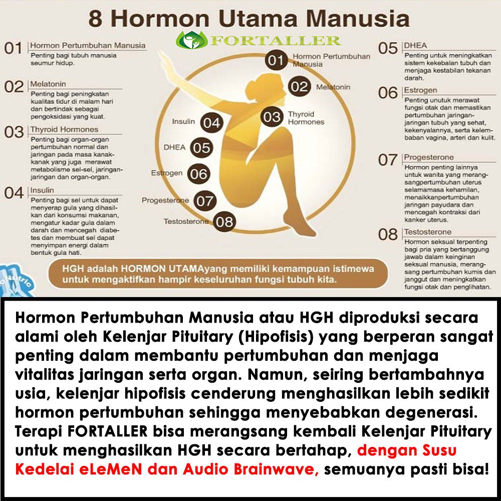 Detail Gambar Hormon 8 Hormon Utama Nomer 51