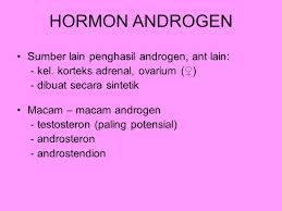 Detail Gambar Hormon Androgen Nomer 10