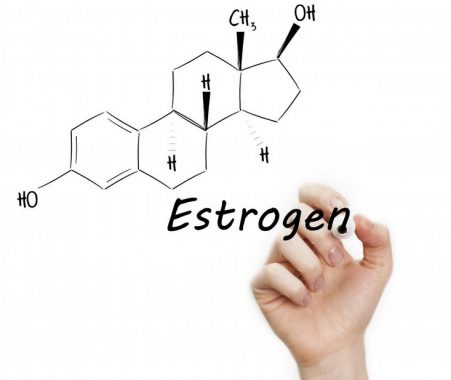 Detail Gambar Hormon Estrogen Dan Progesteron Nomer 16