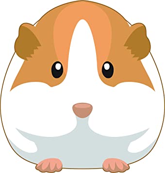 Detail Hamster Comic Bild Nomer 12
