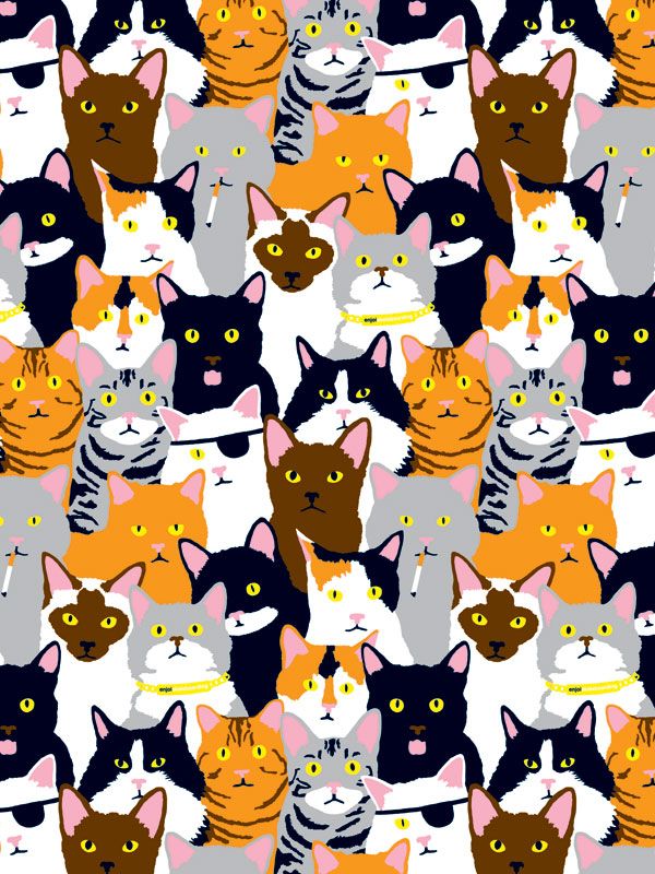 Detail Katzen Wallpaper Nomer 3