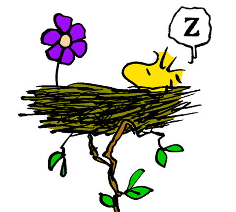 Snoopy Woodstock Sleeping - KibrisPDR