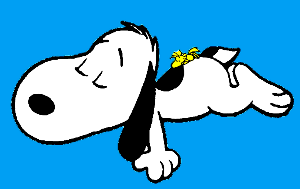 Detail Snoopy Woodstock Sleeping Nomer 10