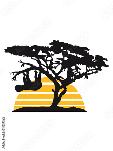 Detail Baum Afrika Nomer 5