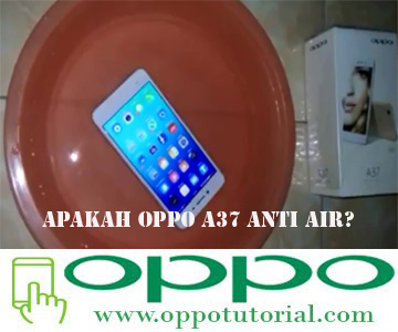 Detail Gambar Hp Oppo A37s Nomer 48