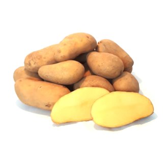Detail Junge Kartoffeln Nomer 3