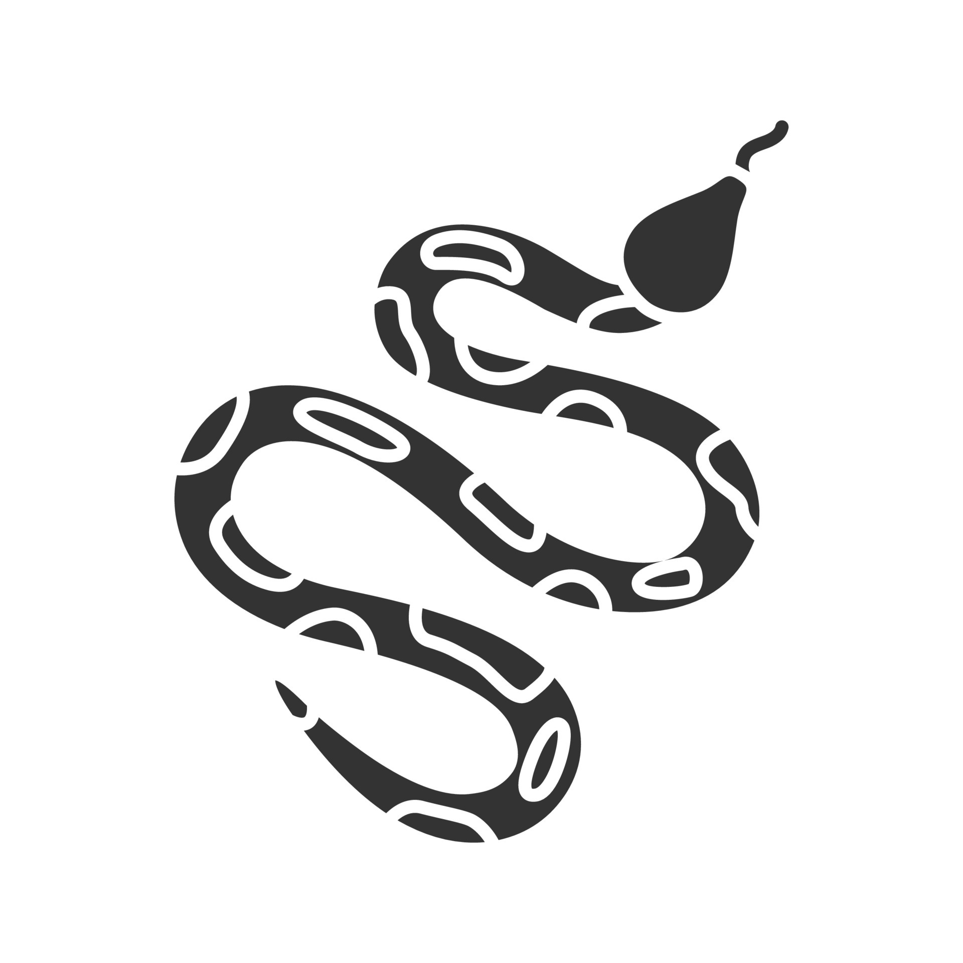 Detail Ball Python Vector Nomer 11