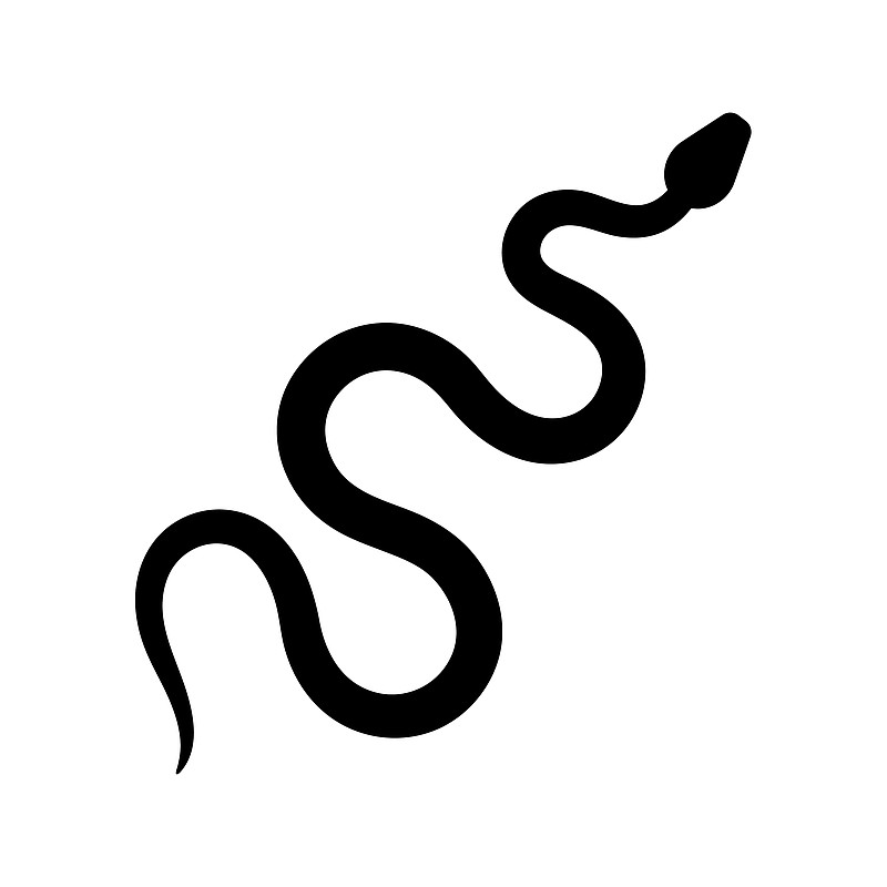Detail Ball Python Vector Nomer 20