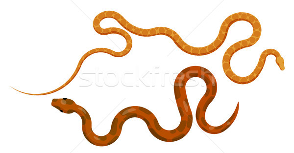 Detail Ball Python Vector Nomer 21
