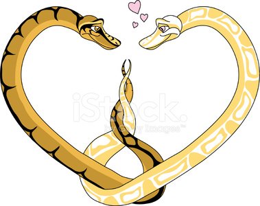 Detail Ball Python Vector Nomer 4