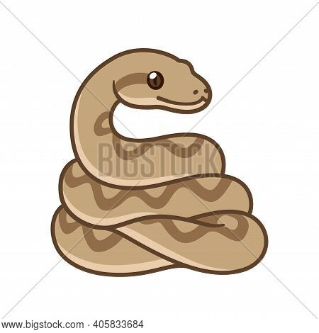 Detail Ball Python Vector Nomer 5