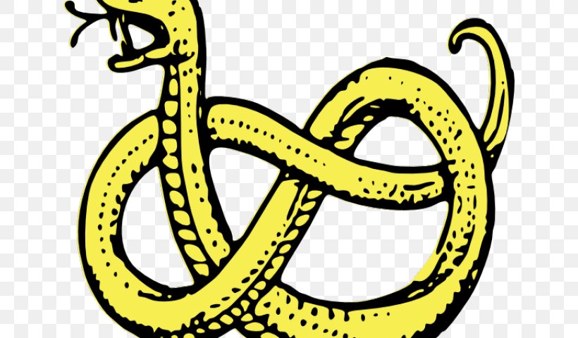 Detail Ball Python Vector Nomer 9