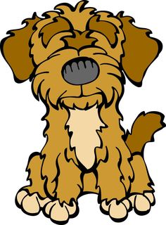 Cavapoo Spaniel - KibrisPDR