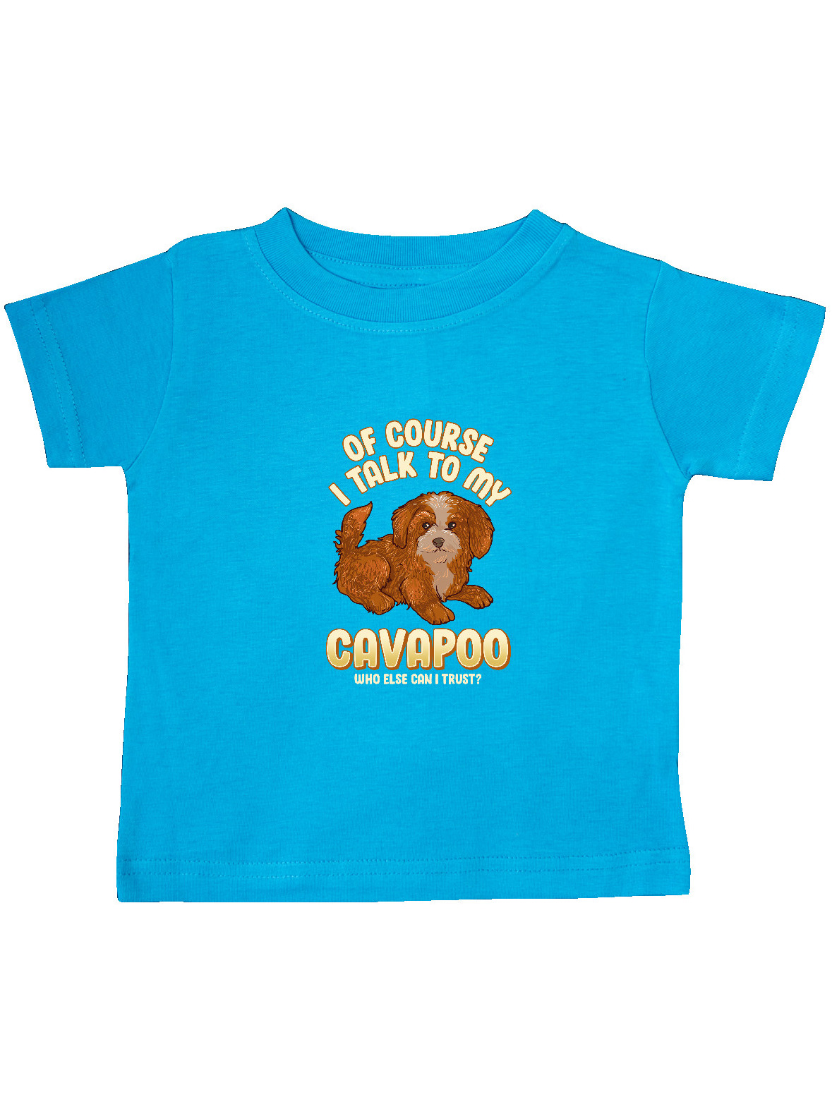 Detail Cavapoo Spaniel Nomer 9