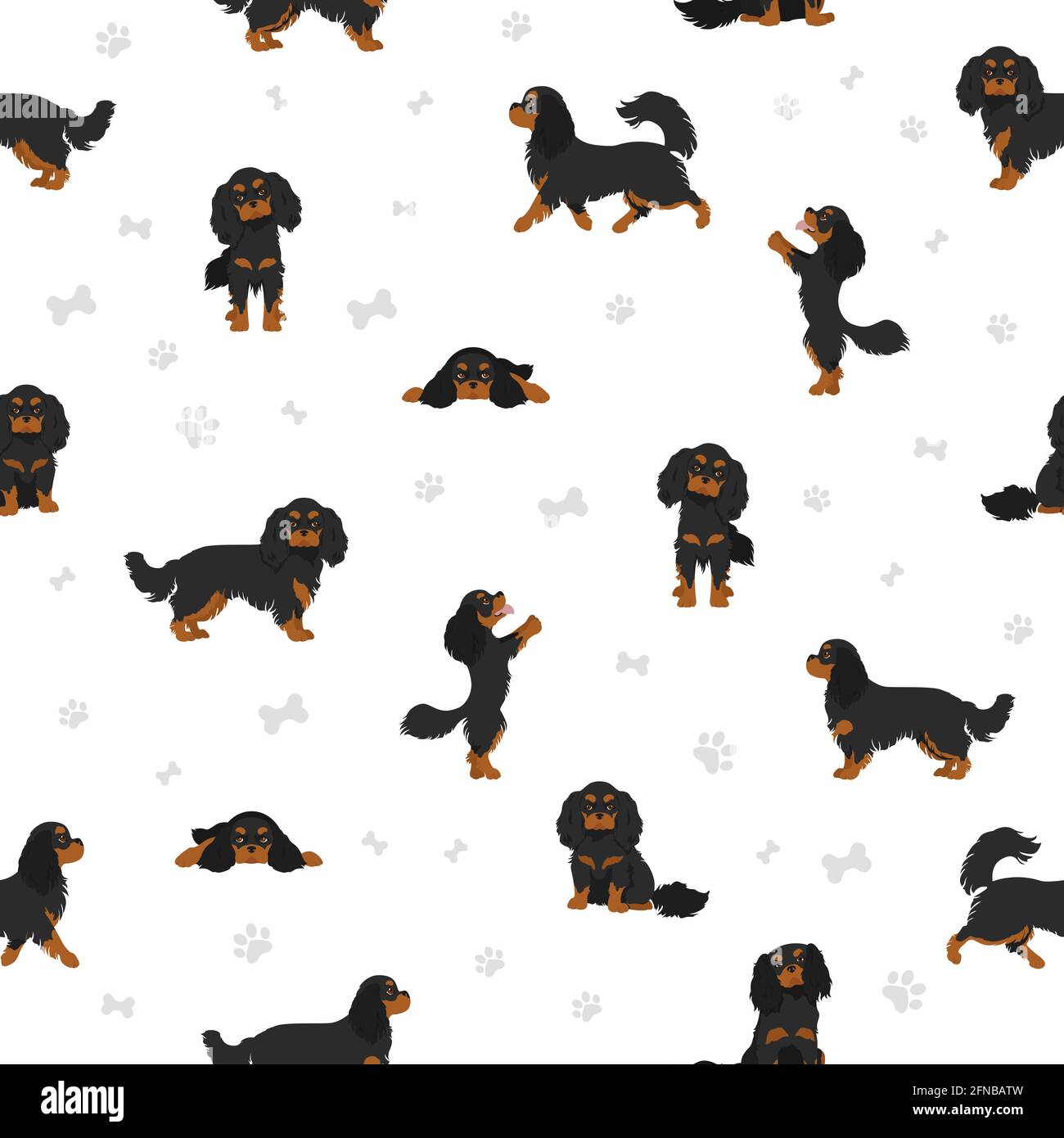 Detail Cavapoo Spaniel Nomer 10