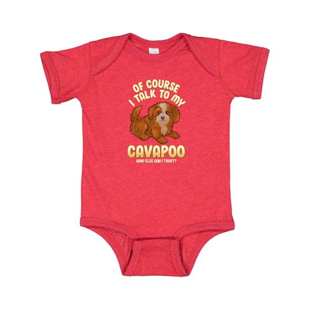 Detail Cavapoo Spaniel Nomer 14