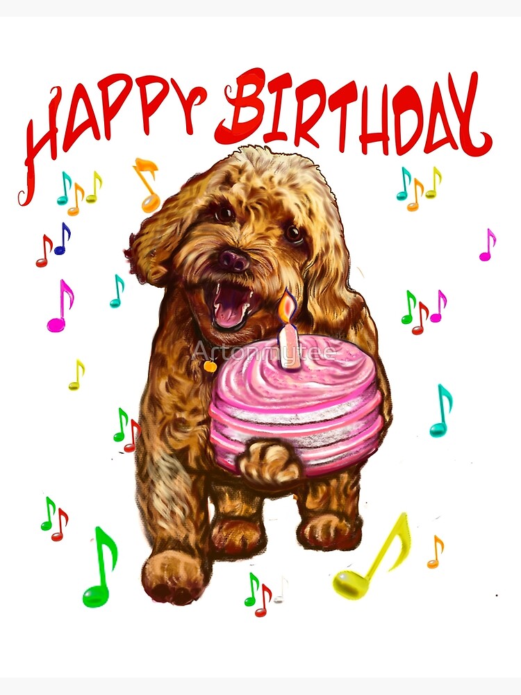 Detail Cavapoo Spaniel Nomer 15