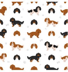 Detail Cavapoo Spaniel Nomer 25