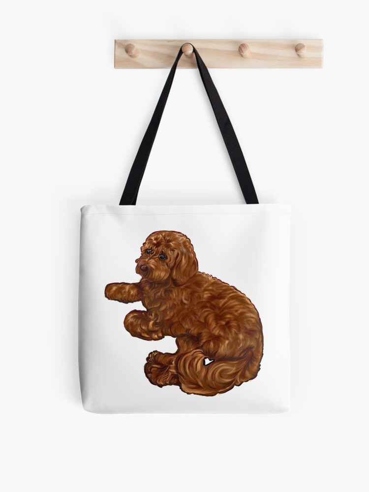 Detail Cavapoo Spaniel Nomer 8