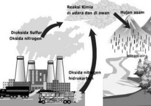 Detail Gambar Hujan Asam Nomer 11