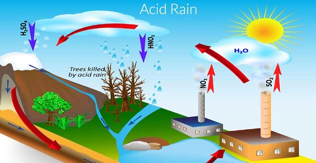 Detail Gambar Hujan Asam Nomer 4