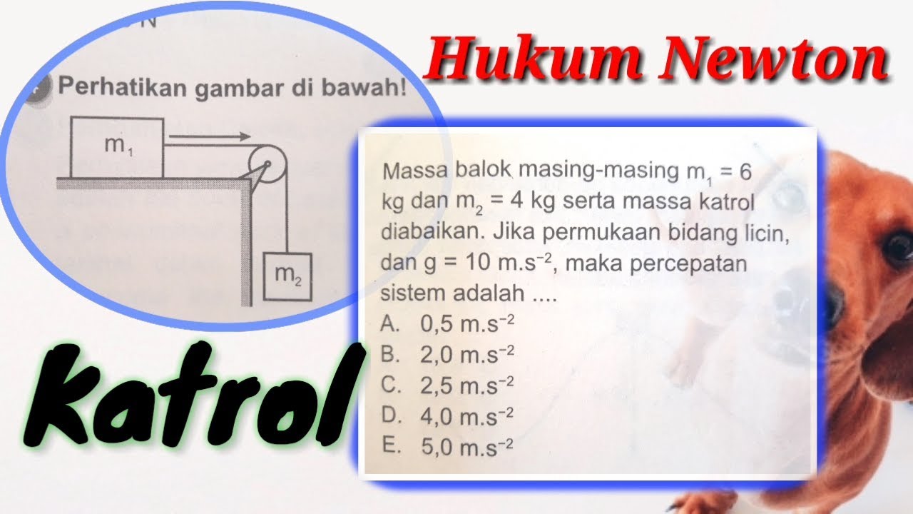 Detail Gambar Hukum Newton Nomer 54