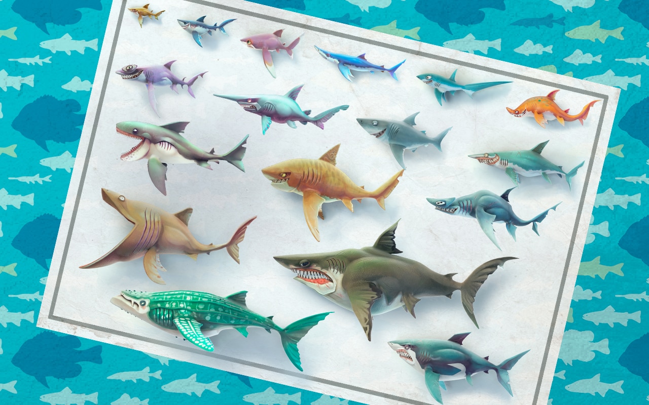 Detail Gambar Hungry Shark Nomer 30