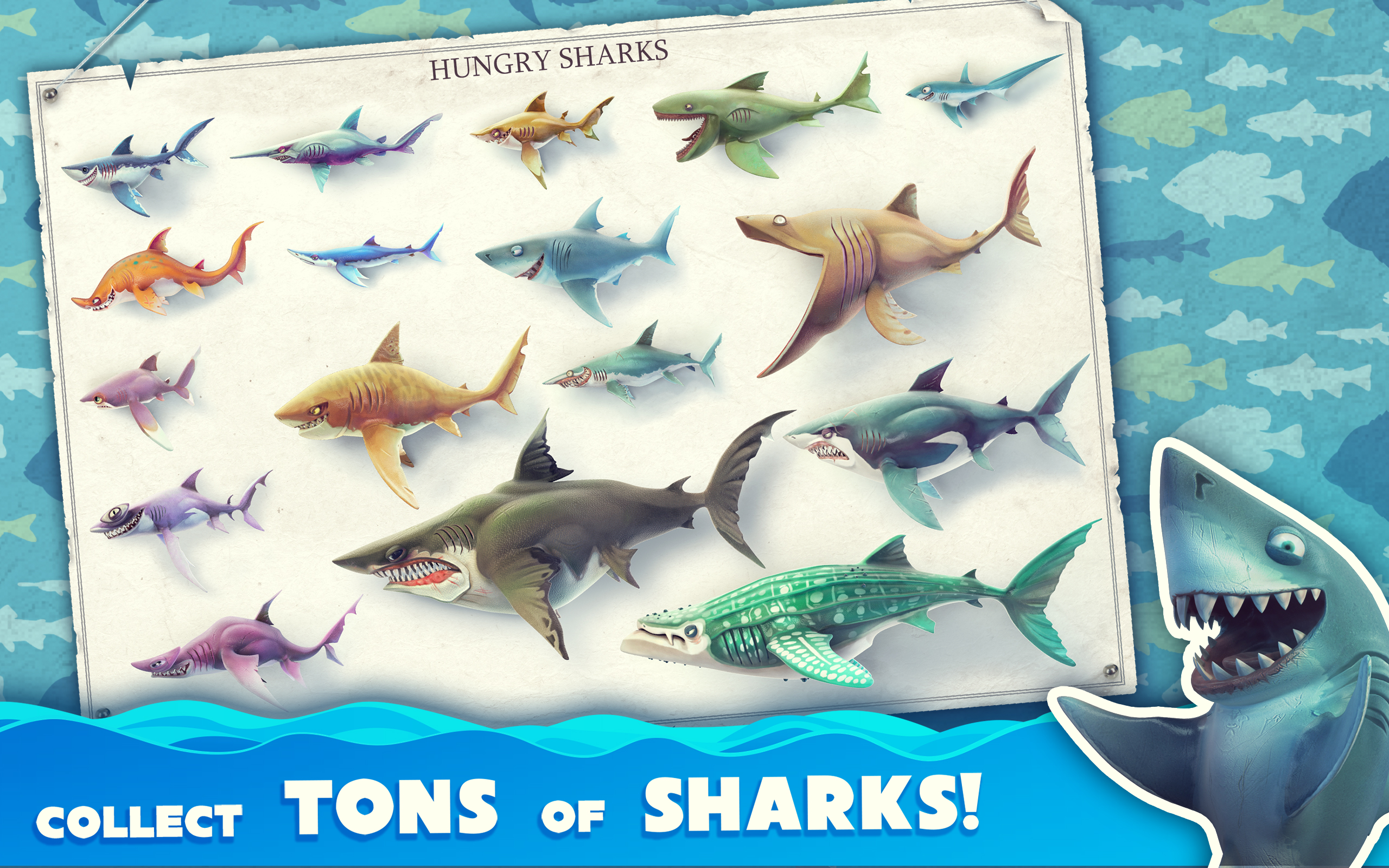 Detail Gambar Hungry Shark World Nomer 18