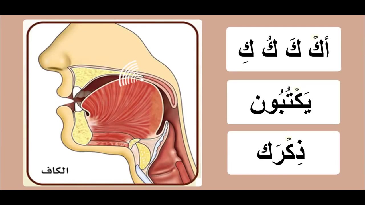 Detail Gambar Huruf Qaf Nomer 49