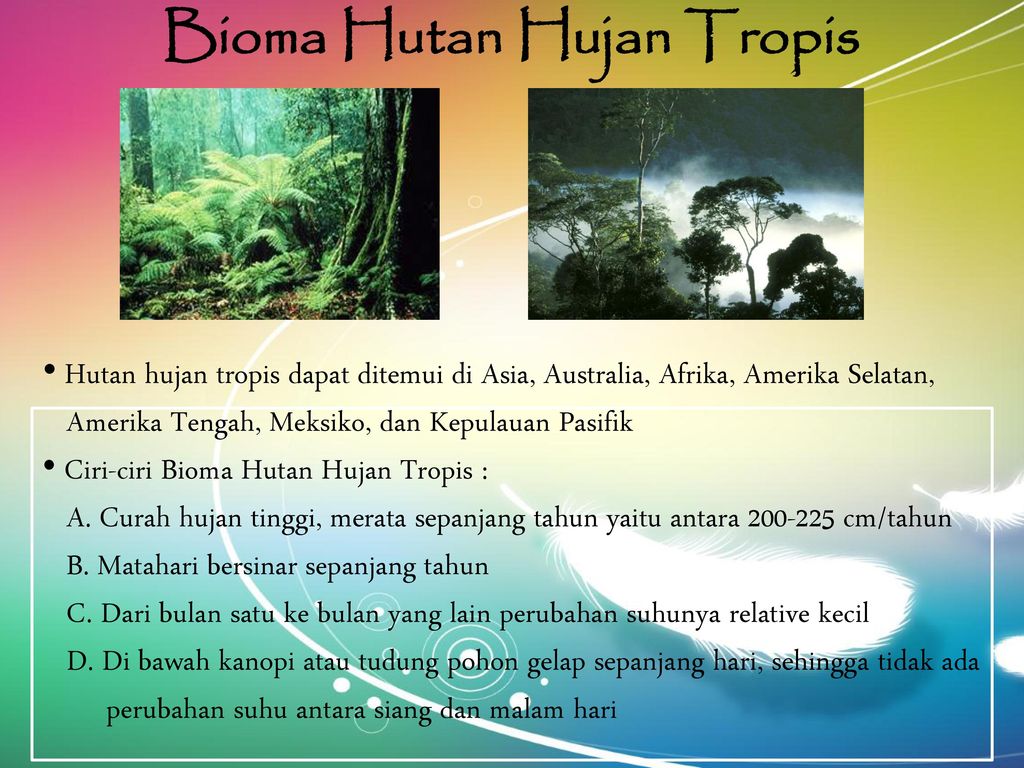 Detail Gambar Hutan Abiotik Nomer 18