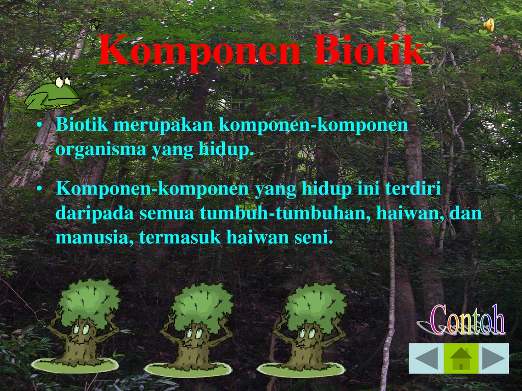 Detail Gambar Hutan Abiotik Nomer 20